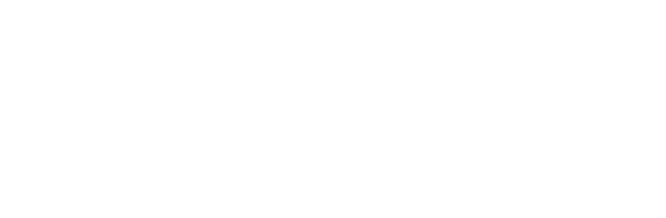 Snazzy logo